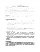 PRACTICA No.1 Molienda y Tamizado de Agregados Finos