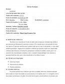 Test Psicometricos. Paciente de sexo masculino de 22 años de edad