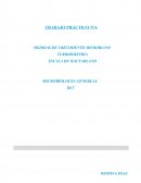 TRABAJO PRÁCTICO N°6. MEDIDAS DE CRECIMIENTO MICROBIANO
