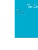 Sublimacion. Tenemos diferentes visiones en los diferentes ámbitos que conformaran