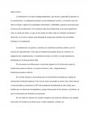 Alimentación en la escuela Insuficiencia protéico-calórica