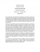 Critica del documental HOME