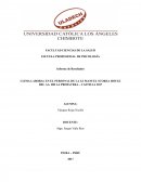 CLIMA LABORAL EN EL PERSONAL DE LA I.E MANUEL SCORZA HOYLE DEL AA. HH LA PRIMAVERA – CASTILLA 2017