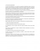 Teoria del procedimiento