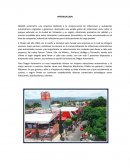 DIAGNOSTICO ANALISIS FODA.