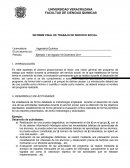 INFORME FINAL DE TRABAJO DE SERVICIO SOCIAL