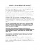 Nutrición de plantas: ¿Qué es lo más importante?