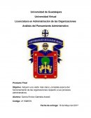 Análisis del Pensamiento Administrativo. La organización: Grupo LALA