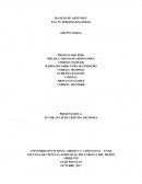 Sistemas agroforestales MANEJO DE ARVENSES Fase VI. Definición del problema