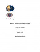 Sintesis Orientacion