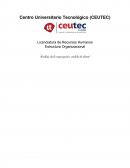 Como se da el Análisis de la organización, módulo de diseño