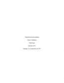 Tarea semana 4 metrologia reseña