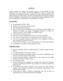 Amidas que son y como funcionan