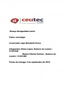 Cuales son las Desigualdades sociales ensayo sociologia