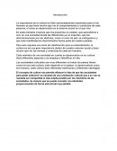 La importancia de la cultura ha Sido extremadamente importante para el ser humano