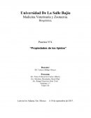 Practica N°4. “Propiedades de los lípidos”