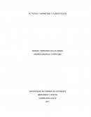 Actividad Marketing y planificacion