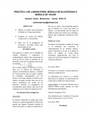 PRÁCTICA DE LABORATORIO: MÓDULO DE ELASTICIDAD O MÓDULO DE YOUNG