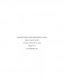 Diagnóstico del actual modelo organizacional de la empresa Gestión de la Prevención de riesgos