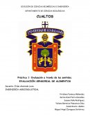Práctica 1: Evaluación a través de los sentidos. EVALUACIÓN SENSORIAL DE ALIMENTOS