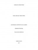 ARCHIVOSExiste una falta de recursos en los consejos comunitarios necesarios para cumplir con las funciones que la ley les otorga