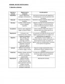 Dar forma a la estructura del organismo y movilidad gracias a las articulaciones entre los huesos