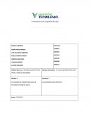 Proceso de Inscripción nuevos ingresos de Bachillerato y Universidad TecMilenio Campus Cancún