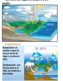Los ciclos del agua del fosforo y del azufre