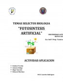 En este tema se les va a mencionar cual es el proceso de la fotosíntesis