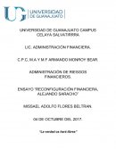 ENSAYO “RECONFIGURACIÓN FINANCIERA, ALEJANDO SARACHO”