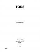 PROYECTO TOUS
