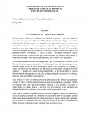 LOS LÍMITES DE LA LIBERTAD DE OPINIÓN