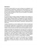 Se abordará la película Wall-E como punto de enfoque de la investigación