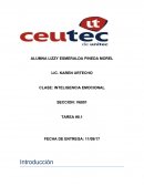 Ensayo de Inteligencia emocional las ventajas y desventajas que tienen nuestras emociones