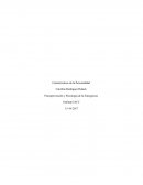 Como son las Características de la personalidad