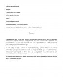 El agua y la contaminación