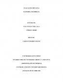 TRABAJO NN VICERRECTORÍA DE UNIVERSIDAD ABIERTA Y A DISTANCIA