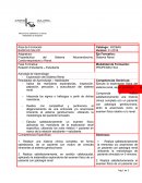 Actividad de Aprendizaje: Exploración del Sistema Renal