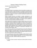 Laboratorio 1 Hidráulica: Pérdida por fricción