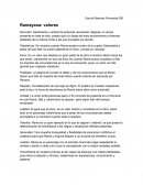 Cuales son los Valores en la Ramayanna García Ramírez Fernanda 505