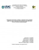 Lombricultura: Evaluación de sustratos orgánicos y reproducción de la lombriz roja californiana