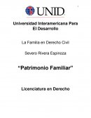 Ensayo sobre “Patrimonio Familiar”