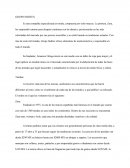 Grupo inditex Su fundador, Amancio Ortega