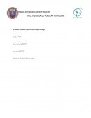 ¿Cuáles son la diferencia entre profesión, empleo, oficio, trabajo, ocupación, y carrera?