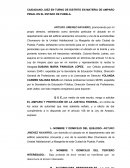 Ejemplo de amparo buscador