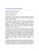 Practica de observación Colegio de posgruaduados.