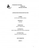 Actividad final: proyecto de investigacion