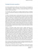 Fisiología del músculo esquelético. Resultados ejercicios