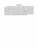 Economia. Comunidad primitiva