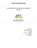 PLAN DE NEGOCIOS ELABORACION DE JABON NATURALES CON AROMAS LOCALES